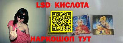 индика Партизанск