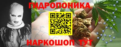 индика Партизанск