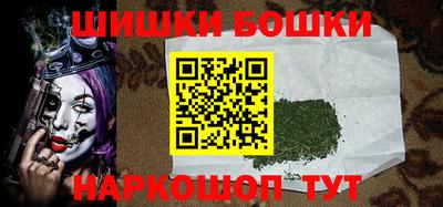 индика Партизанск